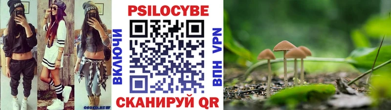 Галлюциногенные грибы GOLDEN TEACHER  купить наркотики цена  Геленджик 