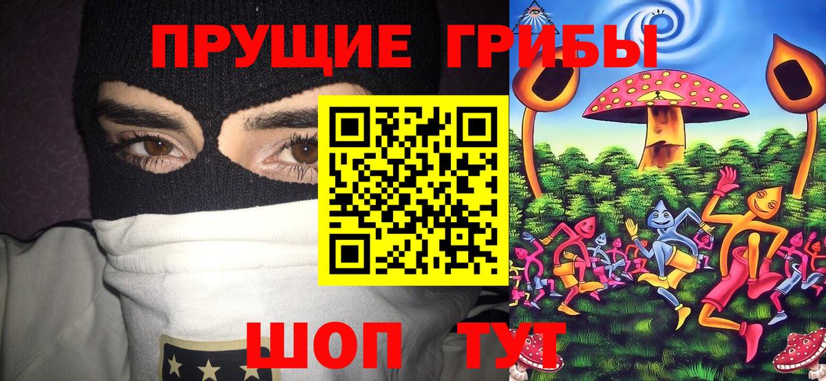 Геленджик  Псилоцибиновые грибы Magic Shrooms  Псилоцибиновые грибы прущие грибы  Вход с VPN 